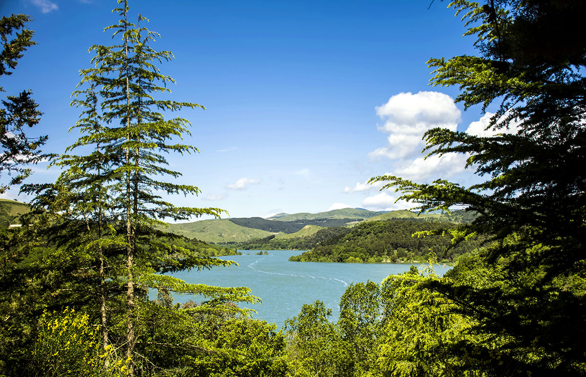 Lago Sartori  - Diga Ancipa